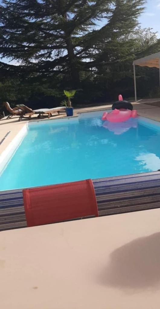Holiday home & Chateau Lagrange Les Tours Cubzac-les-Ponts